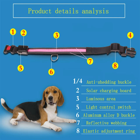 Solar Charging Led Dog Collar USB Rechargeable Night Safety Collar Perro Led Usb Adjustable Pet Led Dog Collar Light Usb Glowing